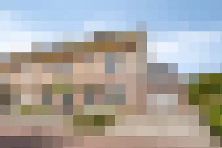 Boommarter 27 Veldhoven thumbnail 43