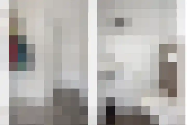 Boommarter 27 Veldhoven thumbnail 5