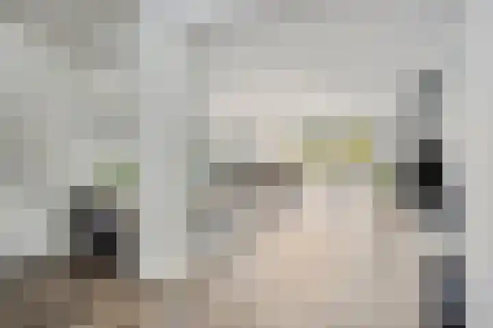 Boommarter 27 Veldhoven thumbnail 6