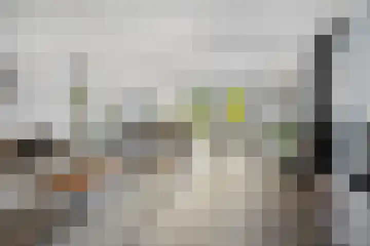 Boommarter 27 Veldhoven thumbnail 8