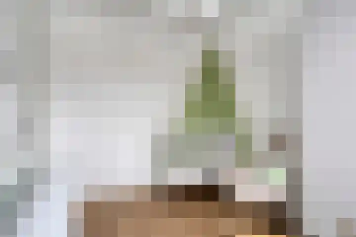 Boommarter 34 Boxtel thumbnail 18