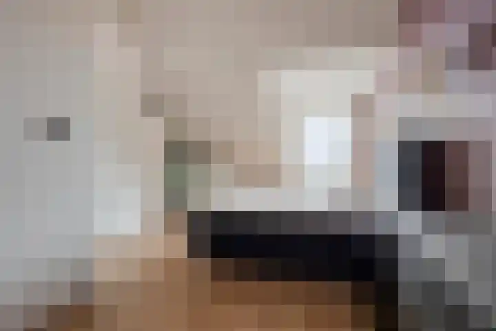 Boommarter 34 Boxtel thumbnail 22