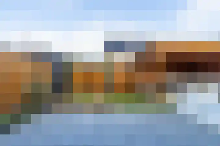 Boommarter 34 Boxtel thumbnail 25