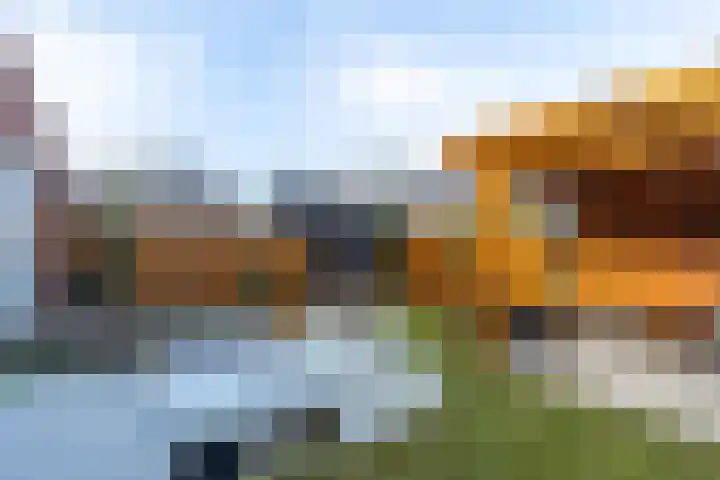 Boommarter 34 Boxtel thumbnail 26