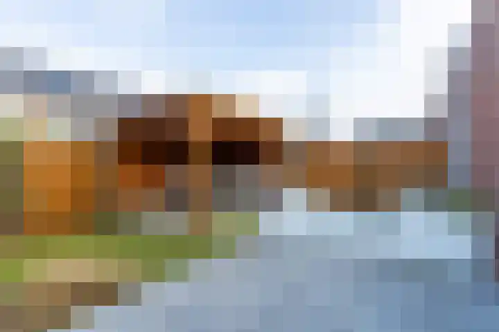 Boommarter 34 Boxtel thumbnail 27