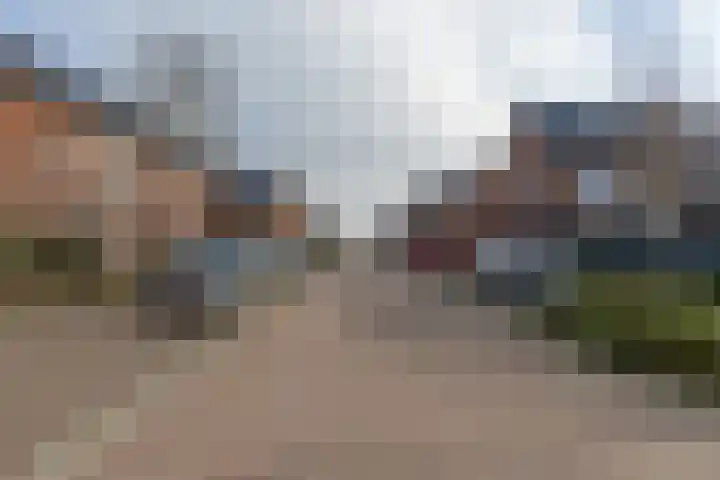 Boommarter 34 Boxtel thumbnail 29