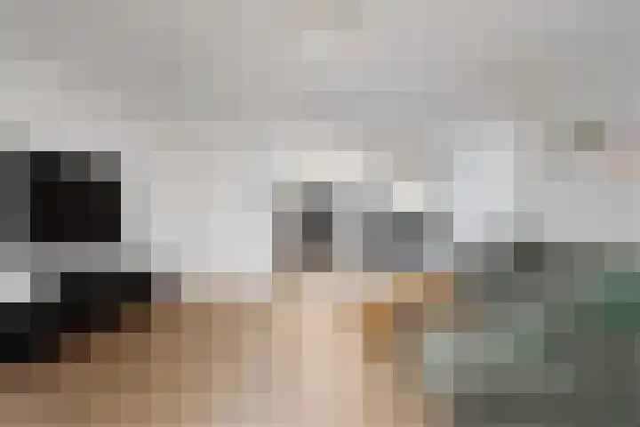 Boommarter 34 Boxtel thumbnail 5