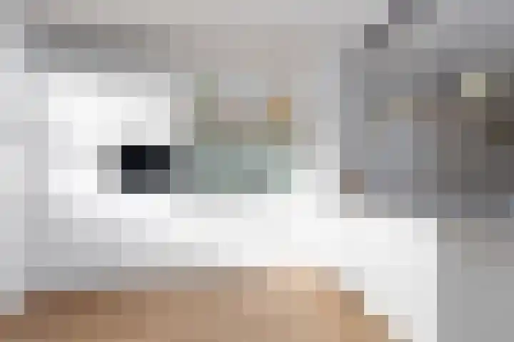 Boommarter 34 Boxtel thumbnail 8