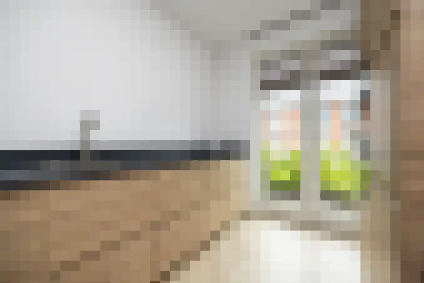 Boommarter 37 Boxtel thumbnail 12
