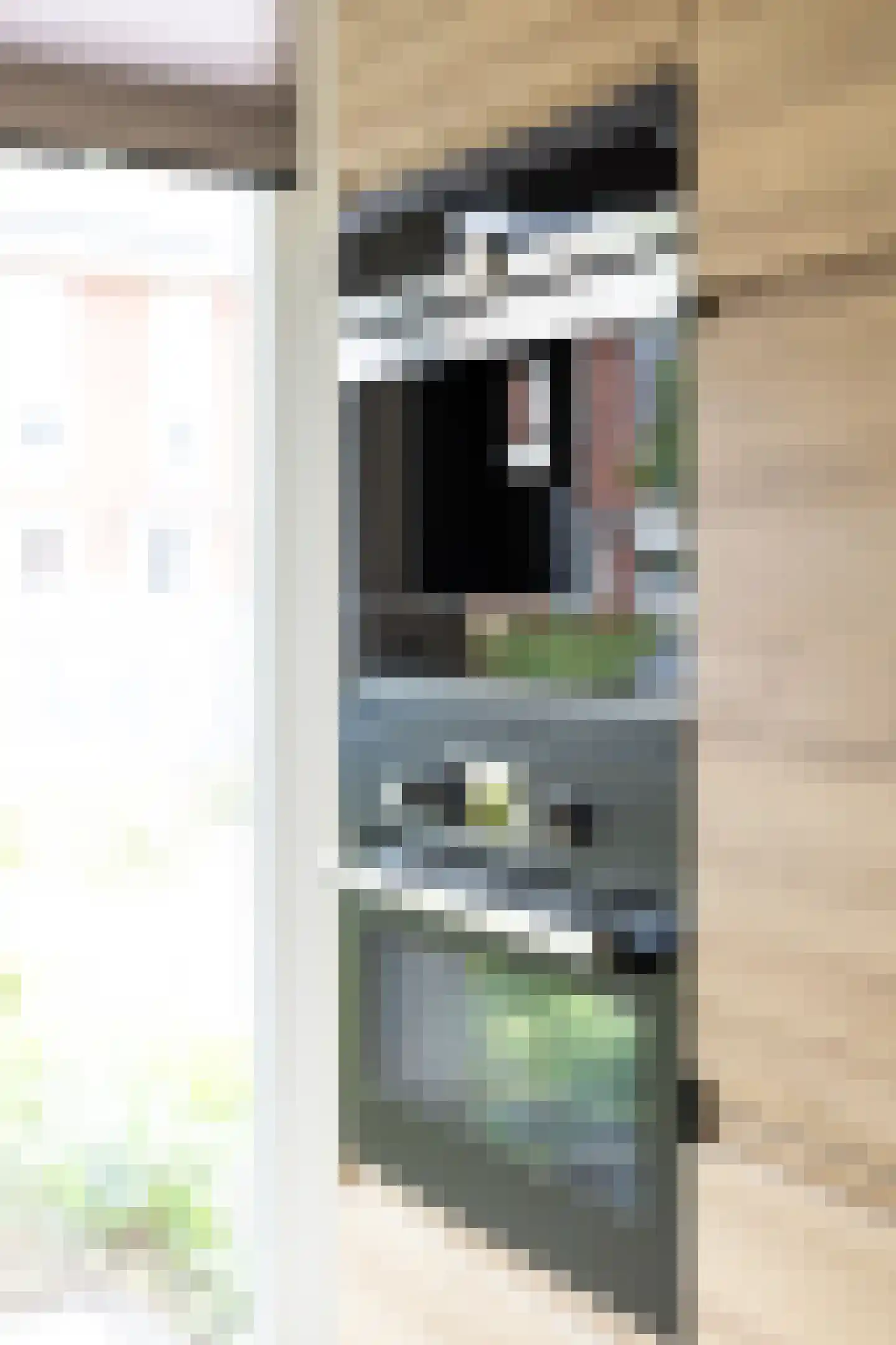Boommarter 37 Boxtel thumbnail 13