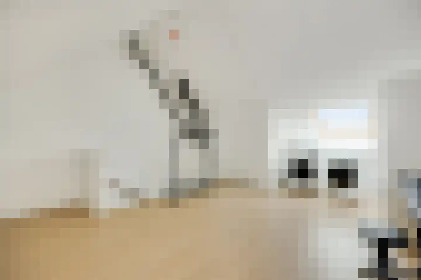 Boommarter 37 Boxtel thumbnail 33