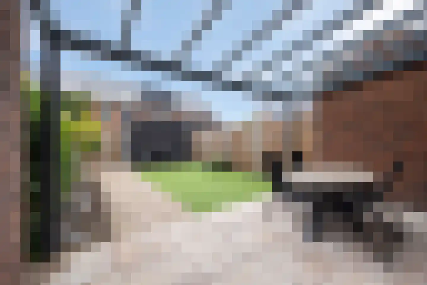 Boommarter 37 Boxtel thumbnail 34
