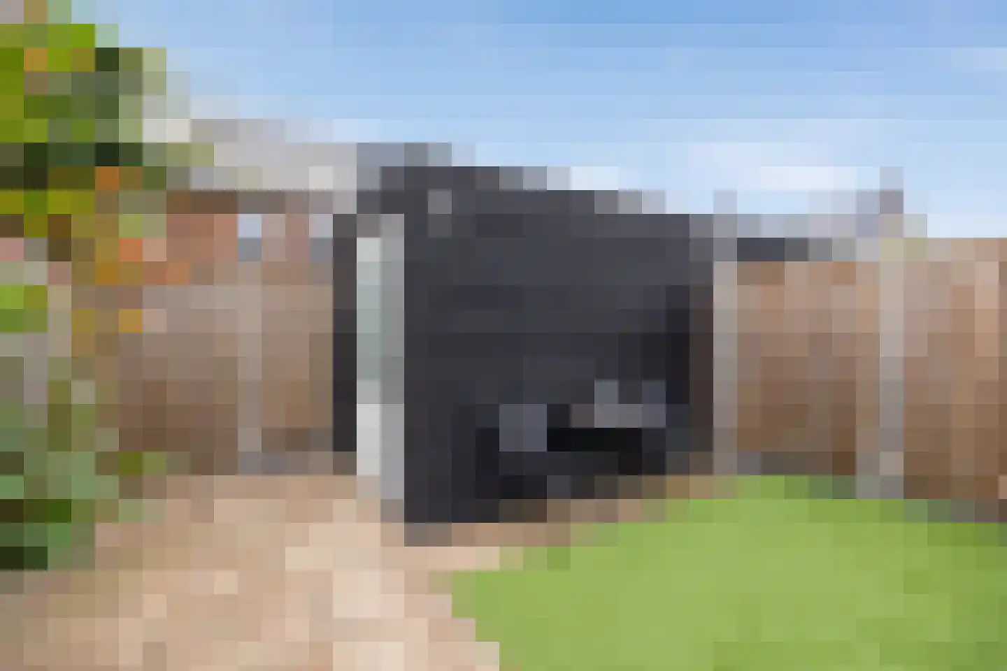Boommarter 37 Boxtel thumbnail 40