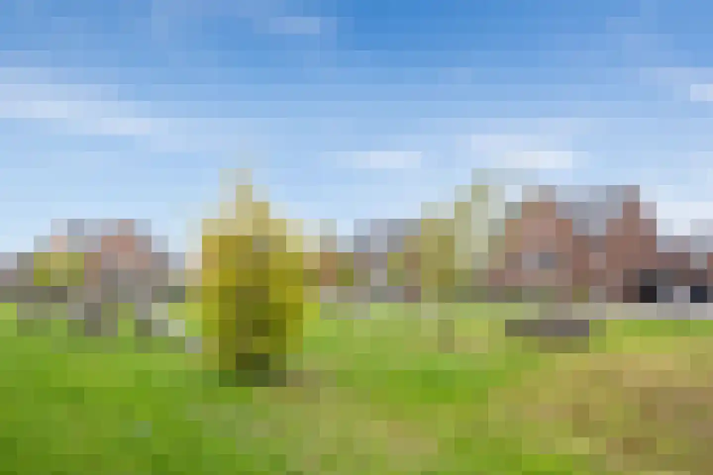 Boommarter 37 Boxtel thumbnail 45