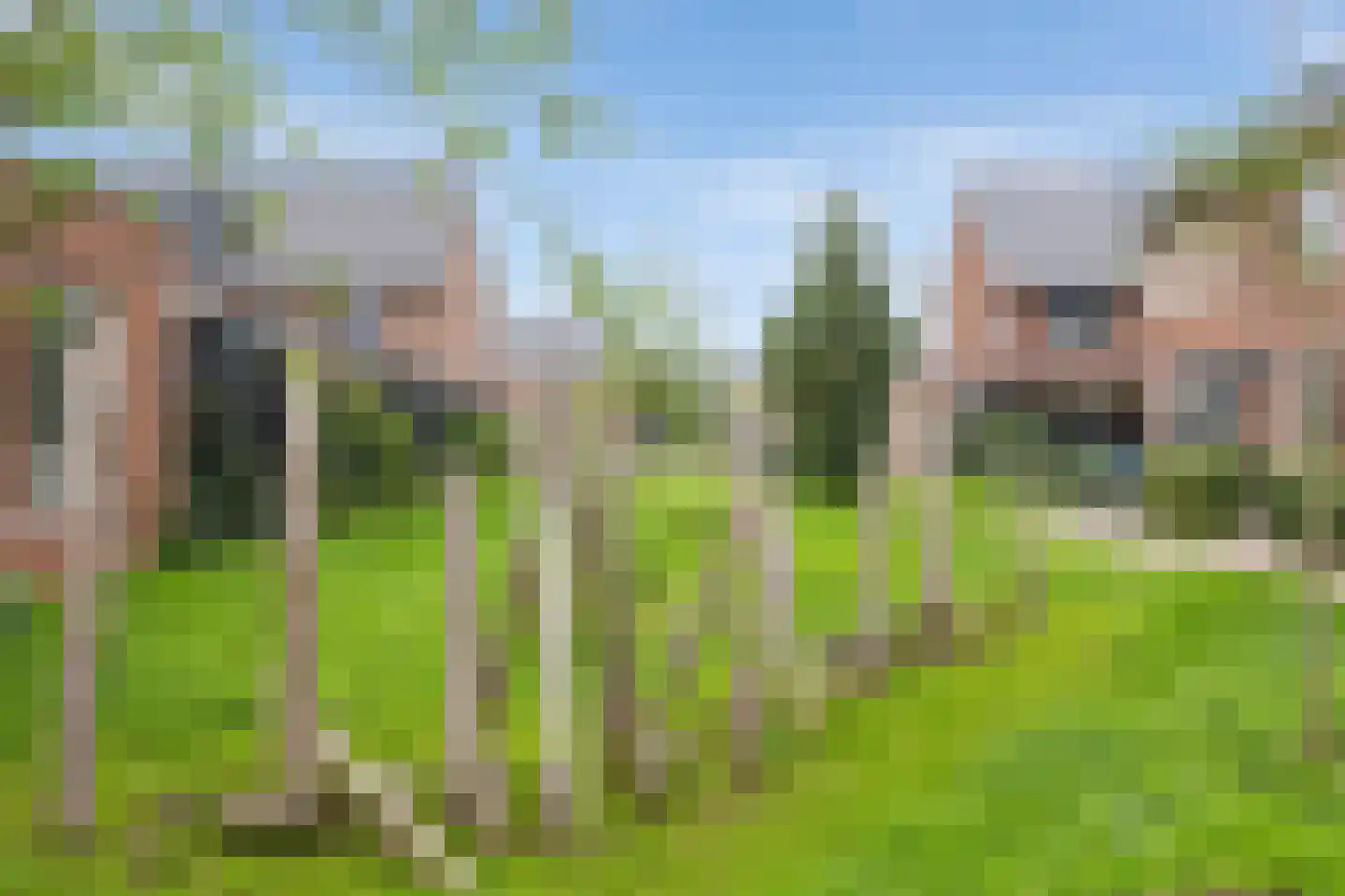 Boommarter 37 Boxtel thumbnail 46