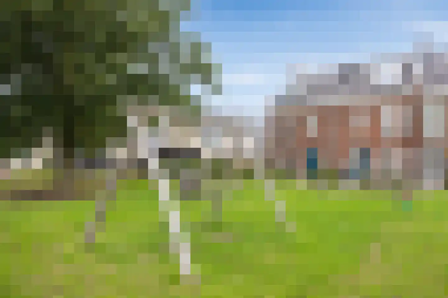 Boommarter 37 Boxtel thumbnail 47