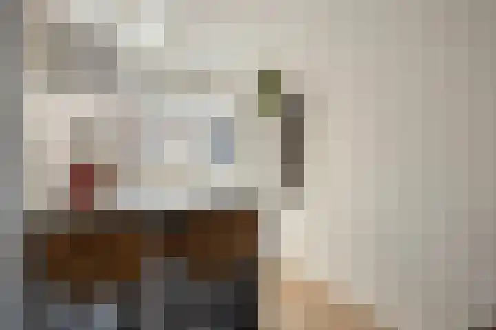 Boommarter 4 Boxtel thumbnail 10