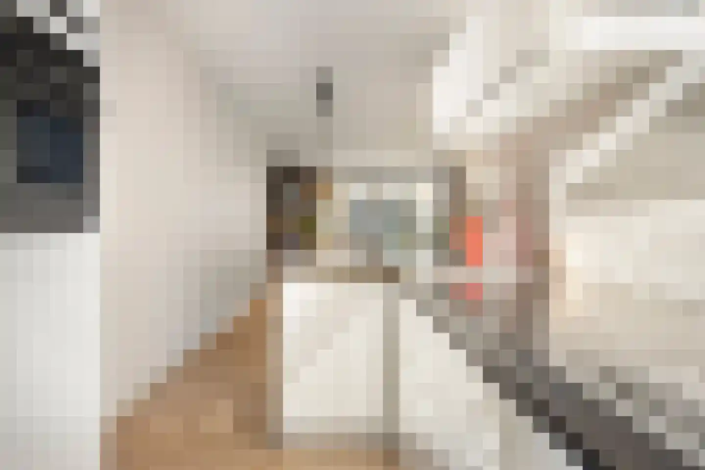 Boommarter 4 Boxtel thumbnail 13