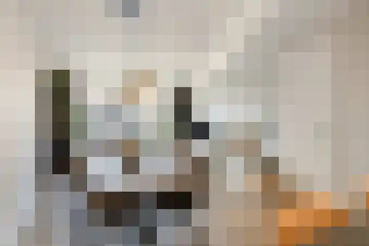 Boommarter 4 Boxtel thumbnail 14