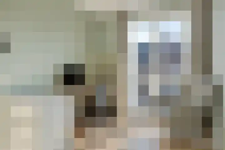 Boommarter 4 Boxtel thumbnail 20