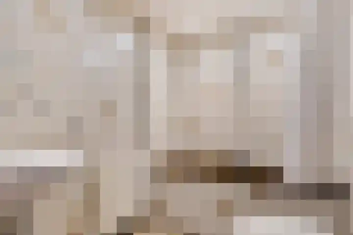 Boommarter 4 Boxtel thumbnail 22