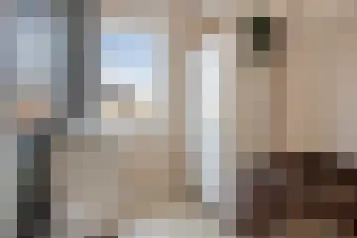 Boommarter 4 Boxtel thumbnail 22