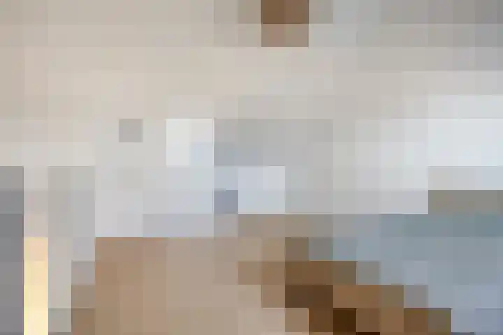 Boommarter 4 Boxtel thumbnail 24