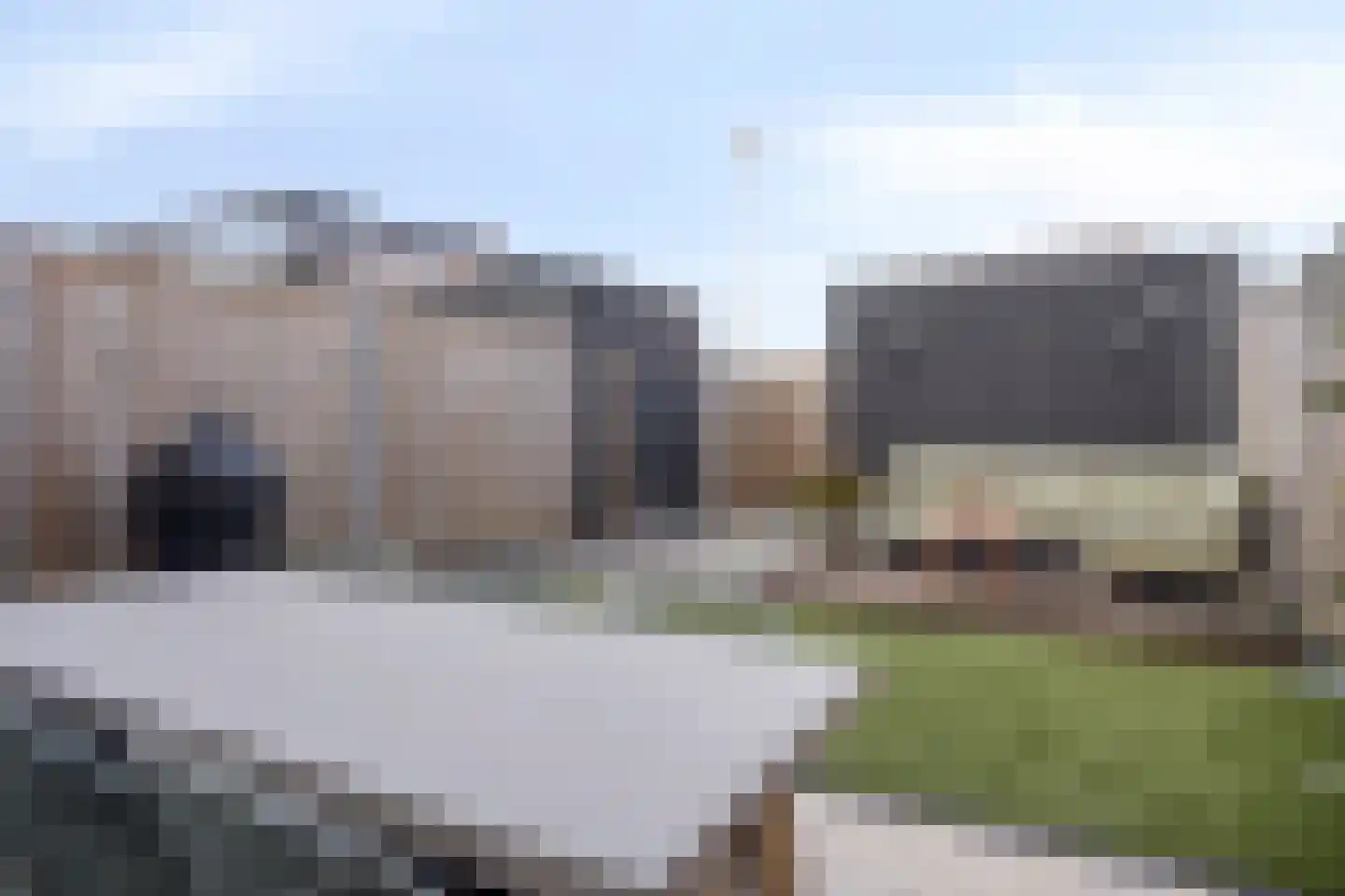 Boommarter 4 Boxtel thumbnail 26