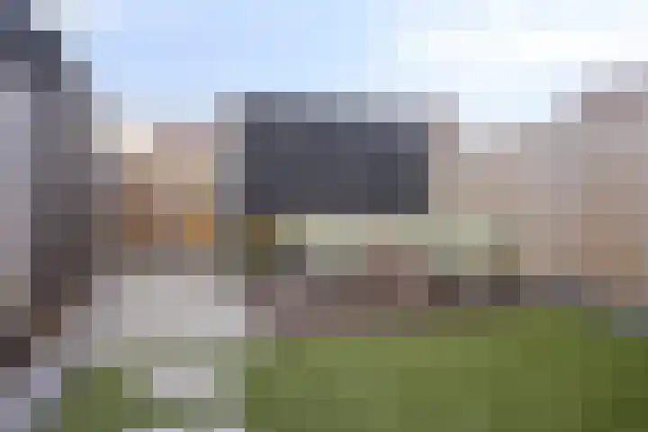 Boommarter 4 Boxtel thumbnail 27