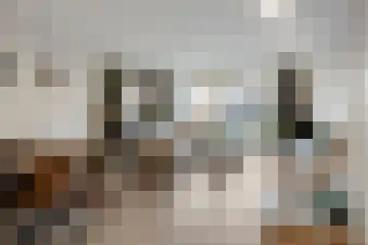 Boommarter 4 Boxtel thumbnail 6