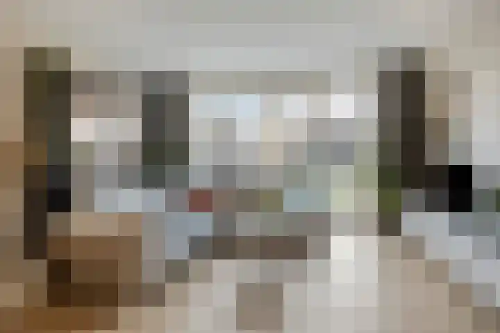 Boommarter 4 Boxtel thumbnail 7