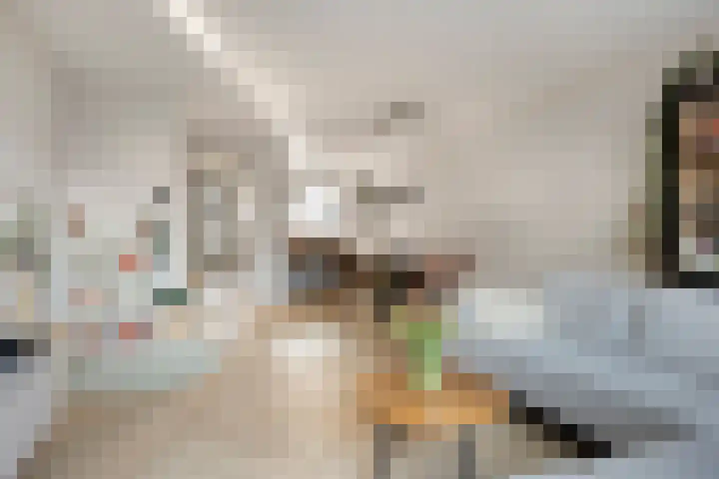 Boommarter 4 Boxtel thumbnail 8