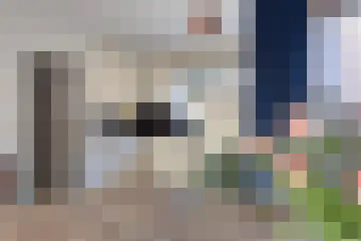 Boommarter 5 Veldhoven thumbnail 11