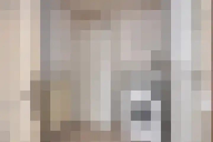 Boommarter 5 Veldhoven thumbnail 26