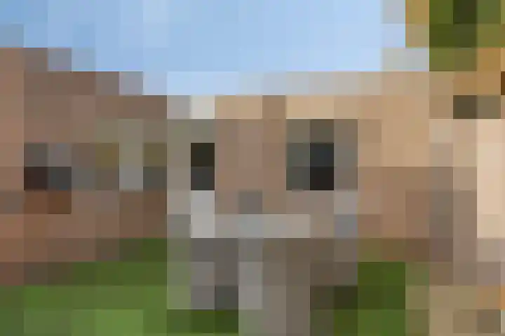 Boommarter 5 Veldhoven thumbnail 28