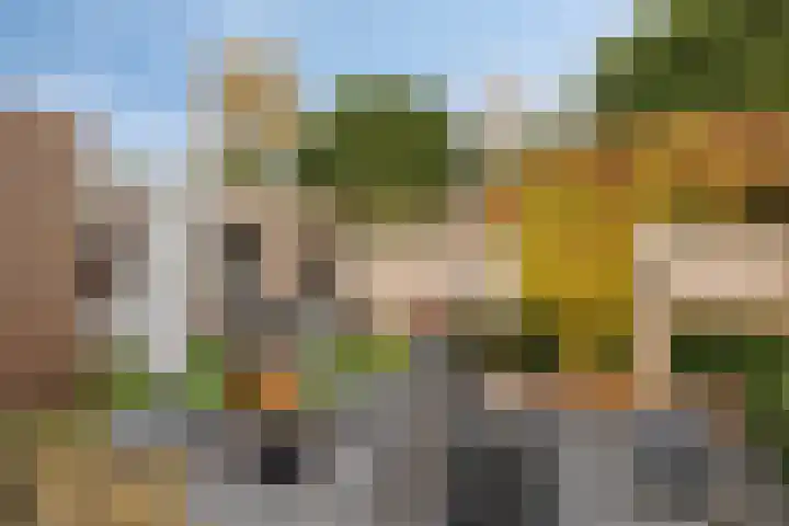 Boommarter 5 Veldhoven thumbnail 30