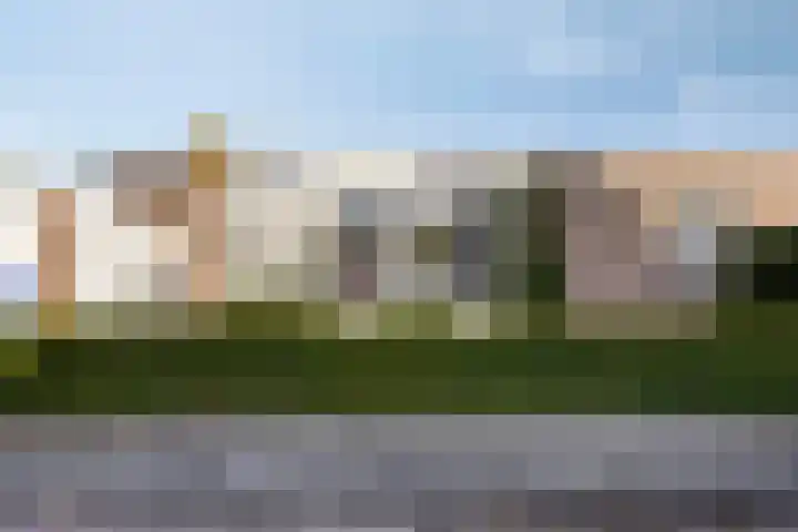 Boommarter 5 Veldhoven thumbnail 31