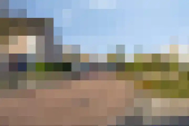 Boommarter 5 Veldhoven thumbnail 32