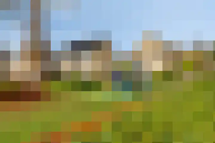 Boommarter 5 Veldhoven thumbnail 33