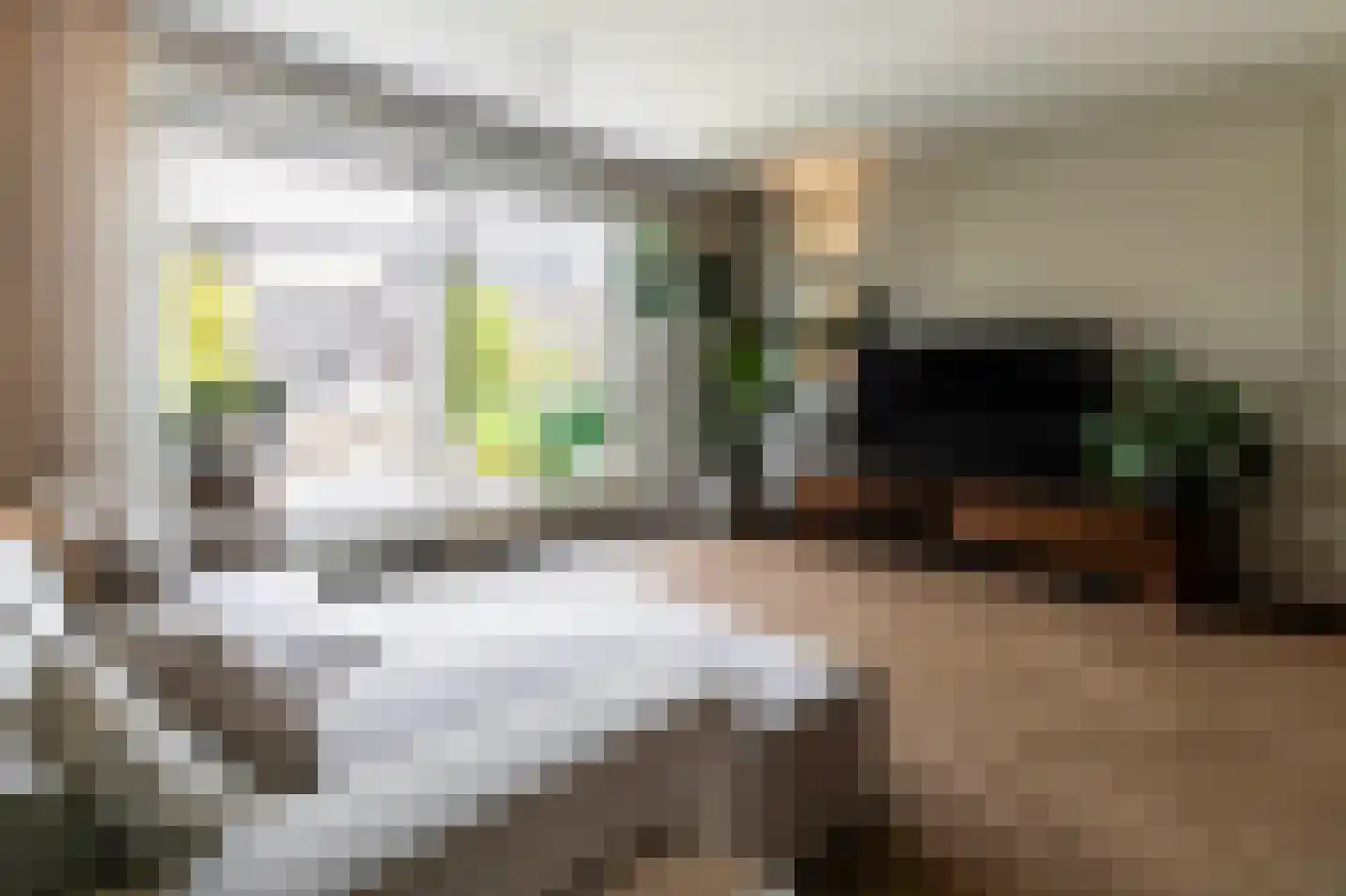 Boommarter 6 Boxtel thumbnail 12