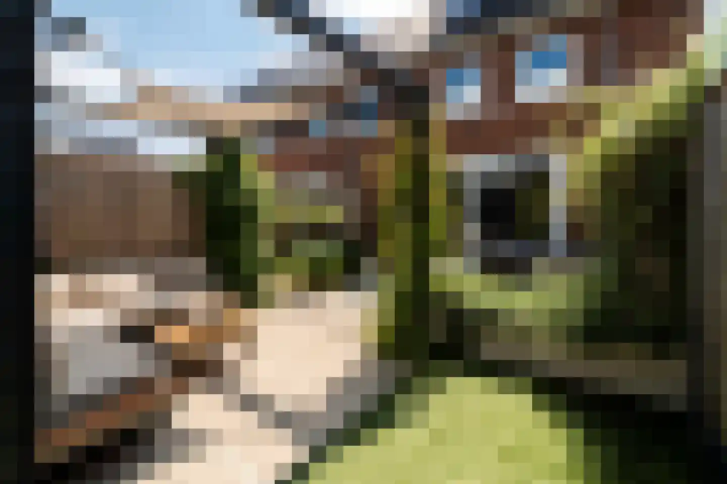 Boommarter 6 Boxtel thumbnail 15