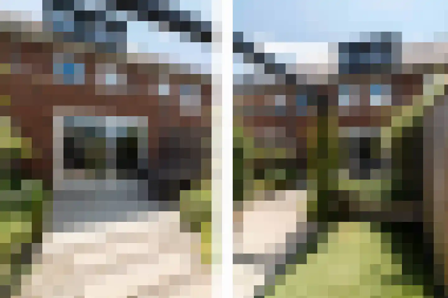 Boommarter 6 Boxtel thumbnail 16