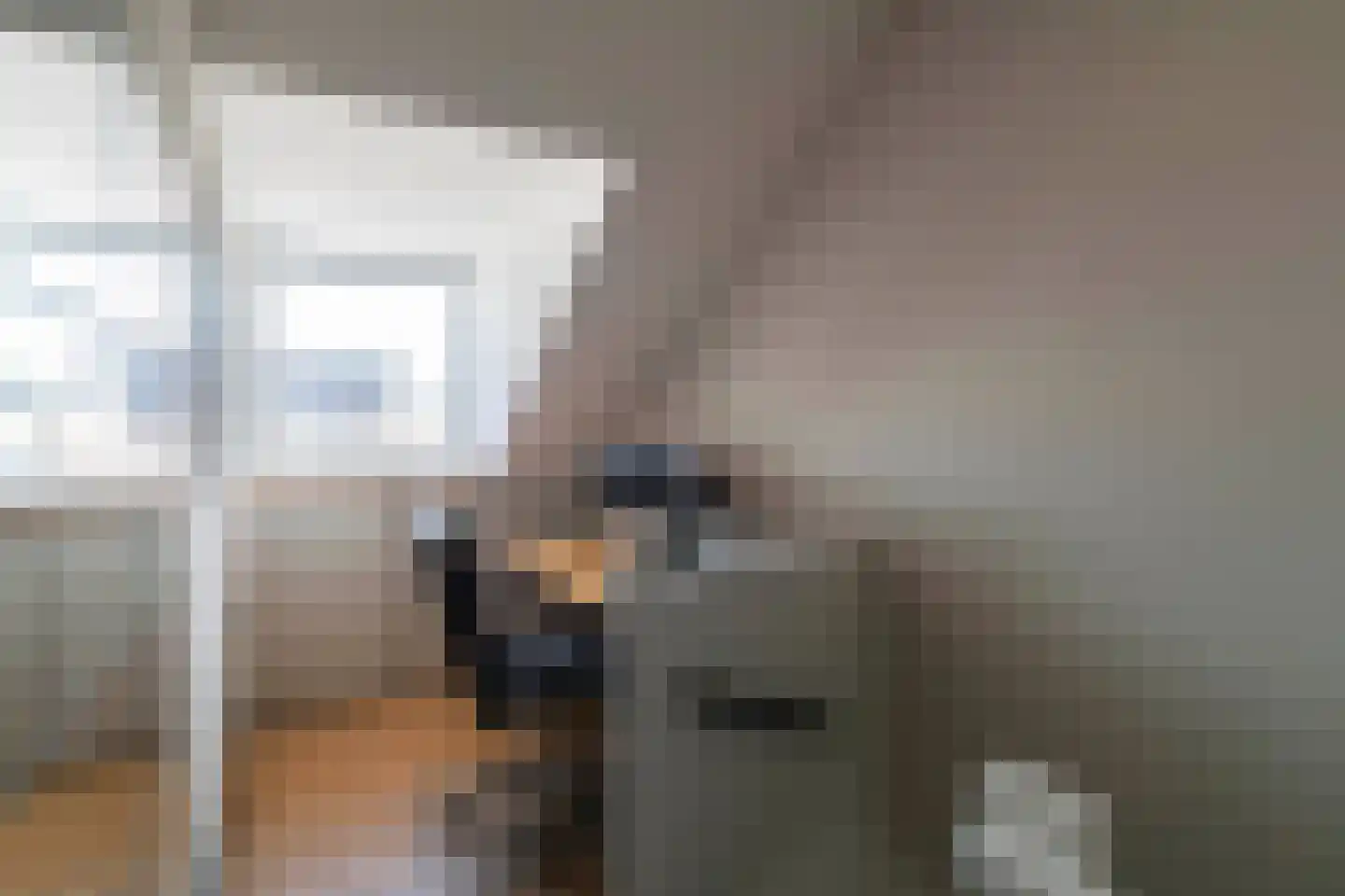 Boommarter 6 Boxtel thumbnail 25