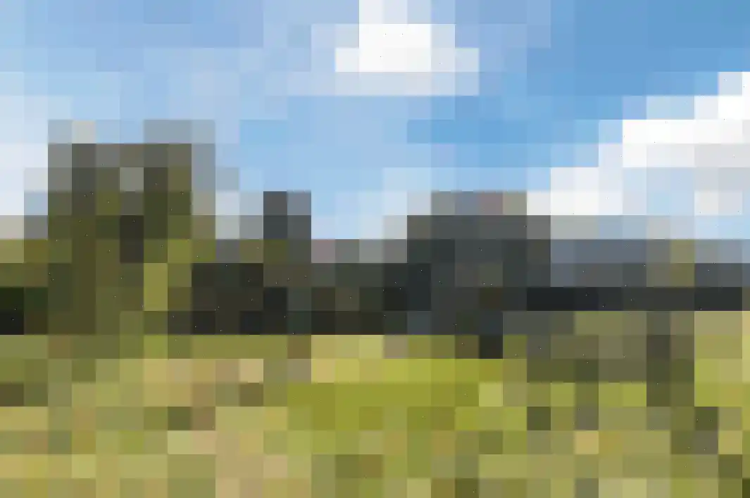 Boommarter 6 Boxtel thumbnail 32