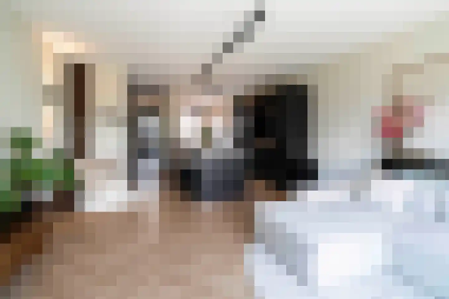 Boommarter 6 Boxtel thumbnail 4