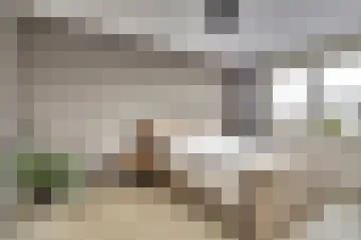Boommarter 8 's-Gravenzande thumbnail 10