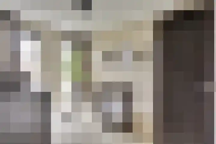 Boommarter 8 's-Gravenzande thumbnail 12