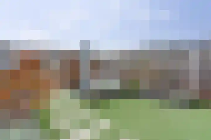 Boommarter 8 's-Gravenzande thumbnail 23