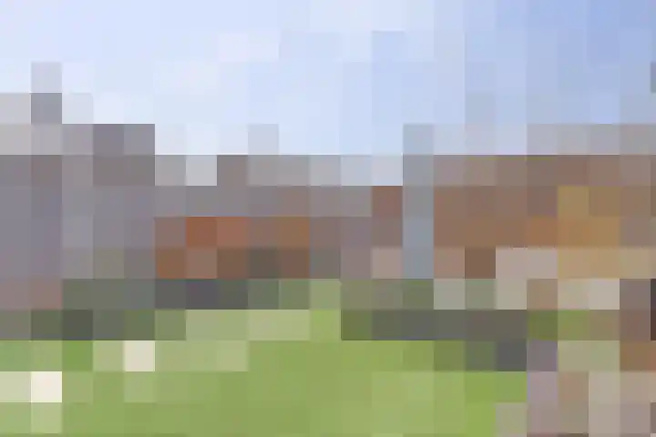 Boommarter 8 's-Gravenzande thumbnail 24