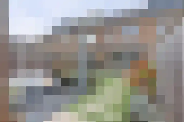 Boommarter 8 's-Gravenzande thumbnail 25